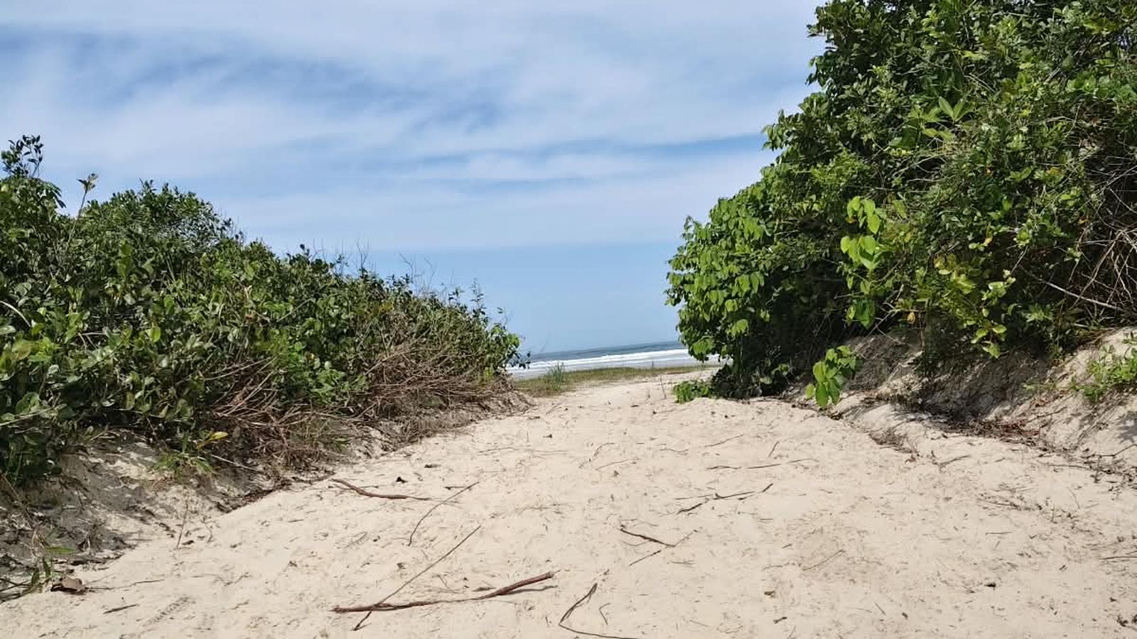 Trilha de areia que dá acesso à praia de Boracéia